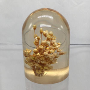 Daisyglas Lucite Dried Flower Paperweight
